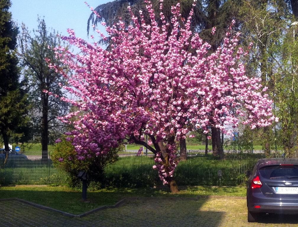 Hotel Forum Rozzano Eksteriør bilde